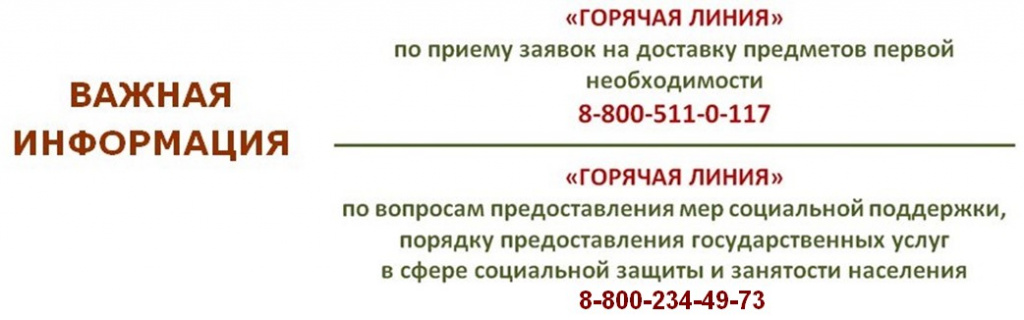 Горячая линия